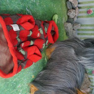 Dog Little Apple Fruit with green stem Sweatshirt Outfit Sz Small